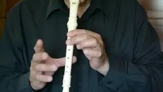 Perfect - Ed  Sheeran - Flauto Dolce