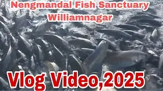Nengmandal Fish Sanctuary|Williamnagar Meghalaya India|2025,Vlog Video||