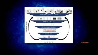 mV25&trade; Boosts Joint Health Using Computational Formulation