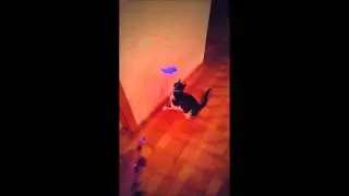 lazer leikfang