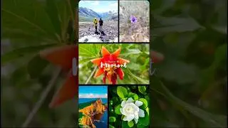 ASsumBaRpEaK #shorts #viral #trending #youtubeshorts #travel #nature #fyp #youtube #like #funny #yt
