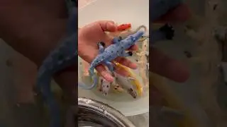 Color change toys #toy #shorts #kids #magic #색깔놀이 #장난감