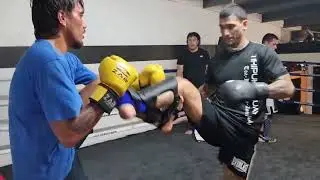 Muay Thai Shark Tank Gang Sparring 1 vs 6 - Matua (Autumn 2022)