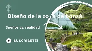 Diseño de la zona de bonsai en la finca. ¿Será factible? De los sueños a la realidad.