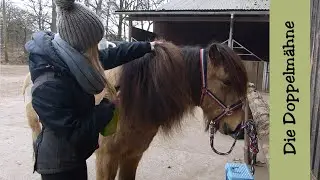 How to: Doppelmähne