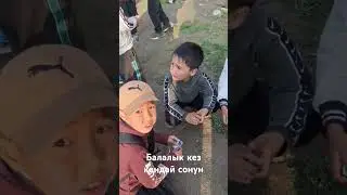 17 апреля 2025 г.