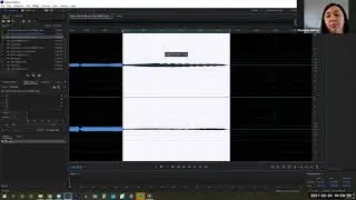 Adobe Audition//Amplitude & Compression//Fade Envelope