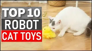 TOP 10 Best Robot Cat Toys for 2024 (Top 5 Picks )