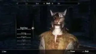 Skyrim Thief/Bandit Roleplay Part 1 - The Creation of Tsun (Modded and using Seasons of Skyrim ENB)