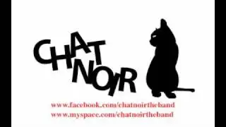 Chat Noir - Apollo