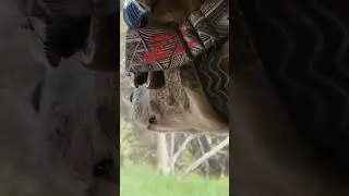 Mud Dog ATV, Renfrew ghost run, 197 machines, Mud Dog has goggles