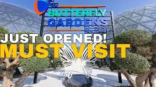 🔴Inside Butterfly Gardens Abu Dhabi at Al Qana | Must-Visit Attraction