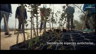 La organizaci&oacute;n y composici&oacute;n del suelo III