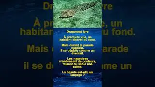 Danse sur le sable