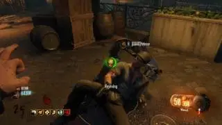 Two Apothicon Servants