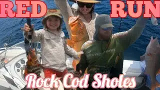 Red Run - Rock Cod Sholes, Gladstone #fishing #gladstone #trout #emperor #reef