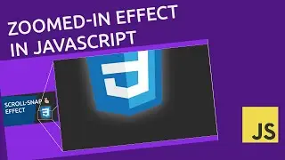 Zoom-In effect on hover like Flipkart and Amazon cart items | Vanilla JavaScript Effects