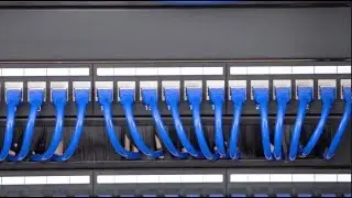 Горизонтальный Кабельный Органайзер 1U с Щеточным Вводом Для Серверных Шкафов | FS.COM