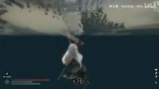 BFCO TEST - swimming attack