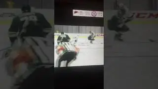 VGHL Grand Rapids Griffins OT winner