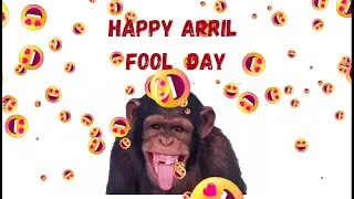 April Fool Status | Ideas to Make April Fool | April Fool Link for Whatsapp | April Fool Tricks