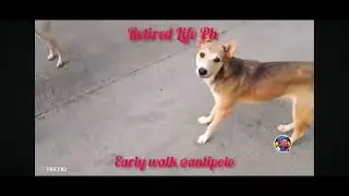 RETIRED LIFE PH IS LIVE NOW