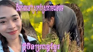 ការរស់នៅសាមញ្ញ  តែមានក្ដីសុខ ជីវិតគឺបែបនេះឯង