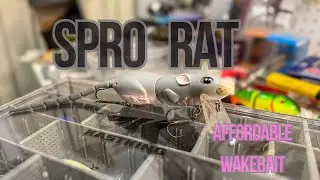 Affordable Wakebait for Beginners! - SPRO RAT - Tackle Tuesday Ep. 51