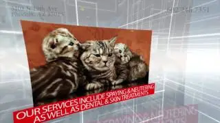 Veterinarian in Phoenix, AZ | Christown Animal Hospital