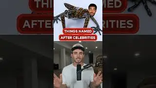 Things You Didn&rsquo;t Realize Were Named After Celebrities