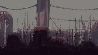 Rain World but I wish I had a map || Survivor Campaign Ep.3 (Pipeyard, Cycles 6-8)
