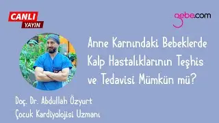 Anne Karnındaki Bebeklerde Kalp Hastalıklarının Teşhis ve Tedavisi Mümkün mü?