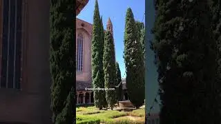 Couvent des Jocobins, Toulouse #weekendinspain #france #toulouse #travel #shorts