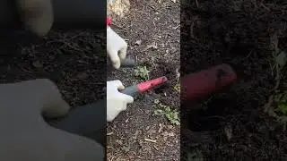 @NA EZEROTO V PL&Ouml;N
