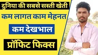 World's cheapest farming | Low cost, low effort, low maintenance farming | Profit Fix