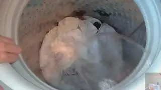 Whites Cycle (Edited but mostly full cycle)