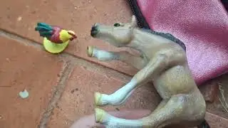 TJs Blog - With the Flying Chicken