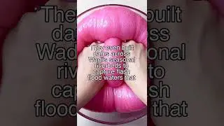 Nabataean Water Capture: Desert Survival