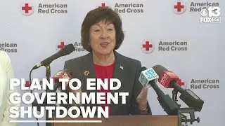 Sen. Susan Collins pitches plan to end government shutdown