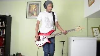 theotothefuture - dysentary gary blink 182 - bass cover
