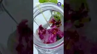 Cool, refreshing, and effortlessly elegant&mdash;this Rose-Mint Ice Tea is a treat for the senses 🌸❄️🍃