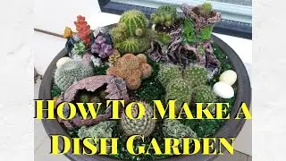 How to make a dish garden arrangement 🐞🌼💐