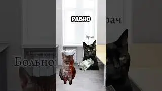 Доктор вылечил здорового кота! #хочуврек #мемкоты