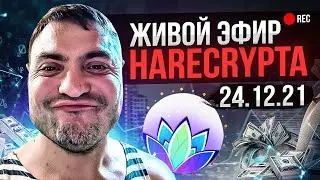 Живой эфир Harecrypta от 24.12.2021. Часть 2. RMRK Boba Celo НФТ активности