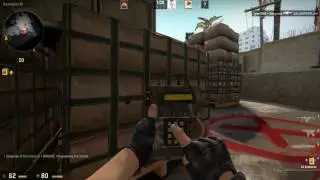 Zerglrisk's Game! Counter-Strike: Global Offensive