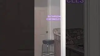 aɓsurd #music #remix #bathroomchronicles #paranormal #funny