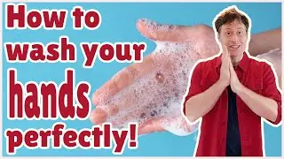 Wash your hands perfectly -  a song for kids and adults