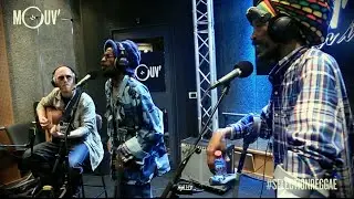 ISRAEL VIBRATION - 
