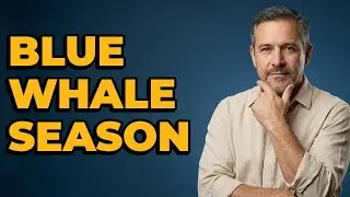 Are Blue Whales Visible Off San Diego in June?