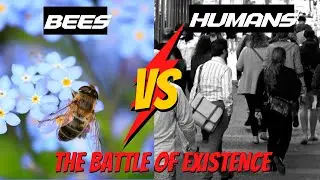 Why are bees so important for the human race survival